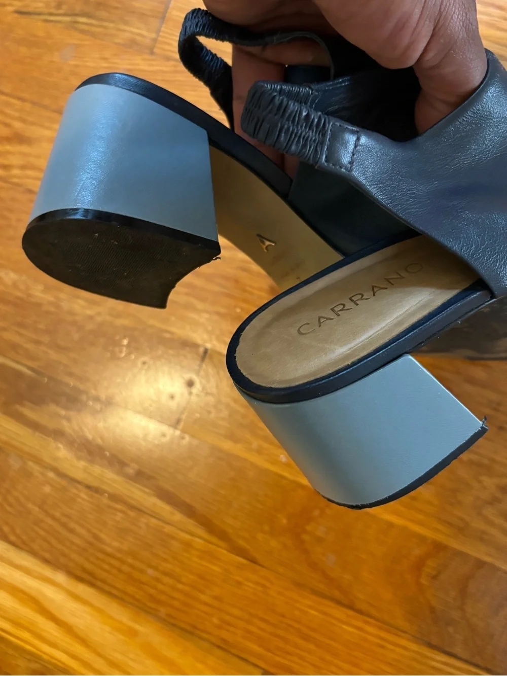 Carrano chic blue